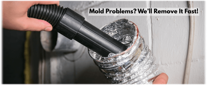 Air Duct Mold Removal in Burbank CA