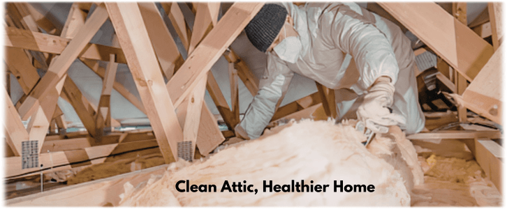 Attic Cleaning Burbank CA