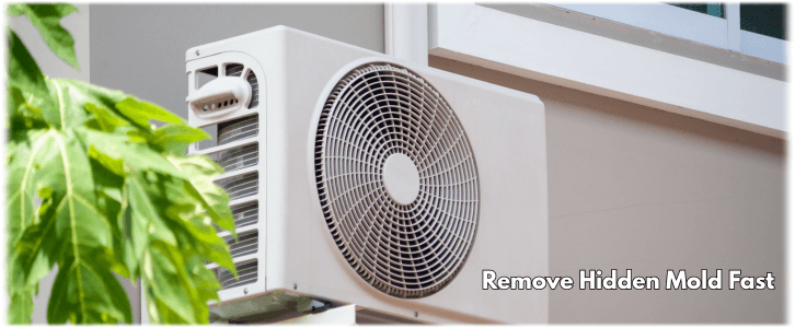 HVAC Mold Removal Burbank CA